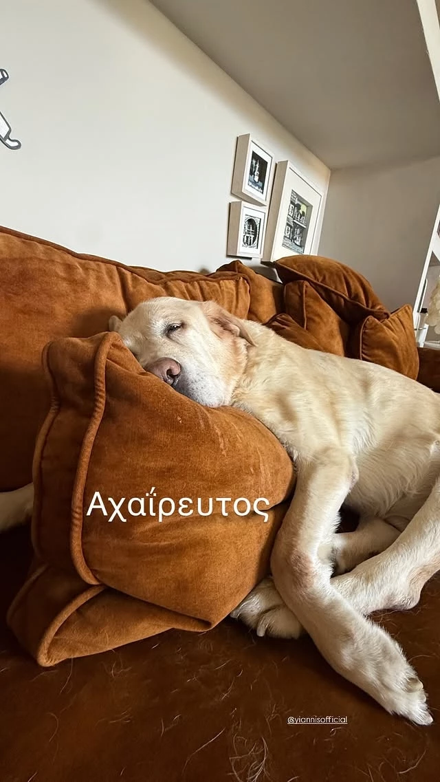 Η Σμαράγδα Καρύδη με τον σκύλο της