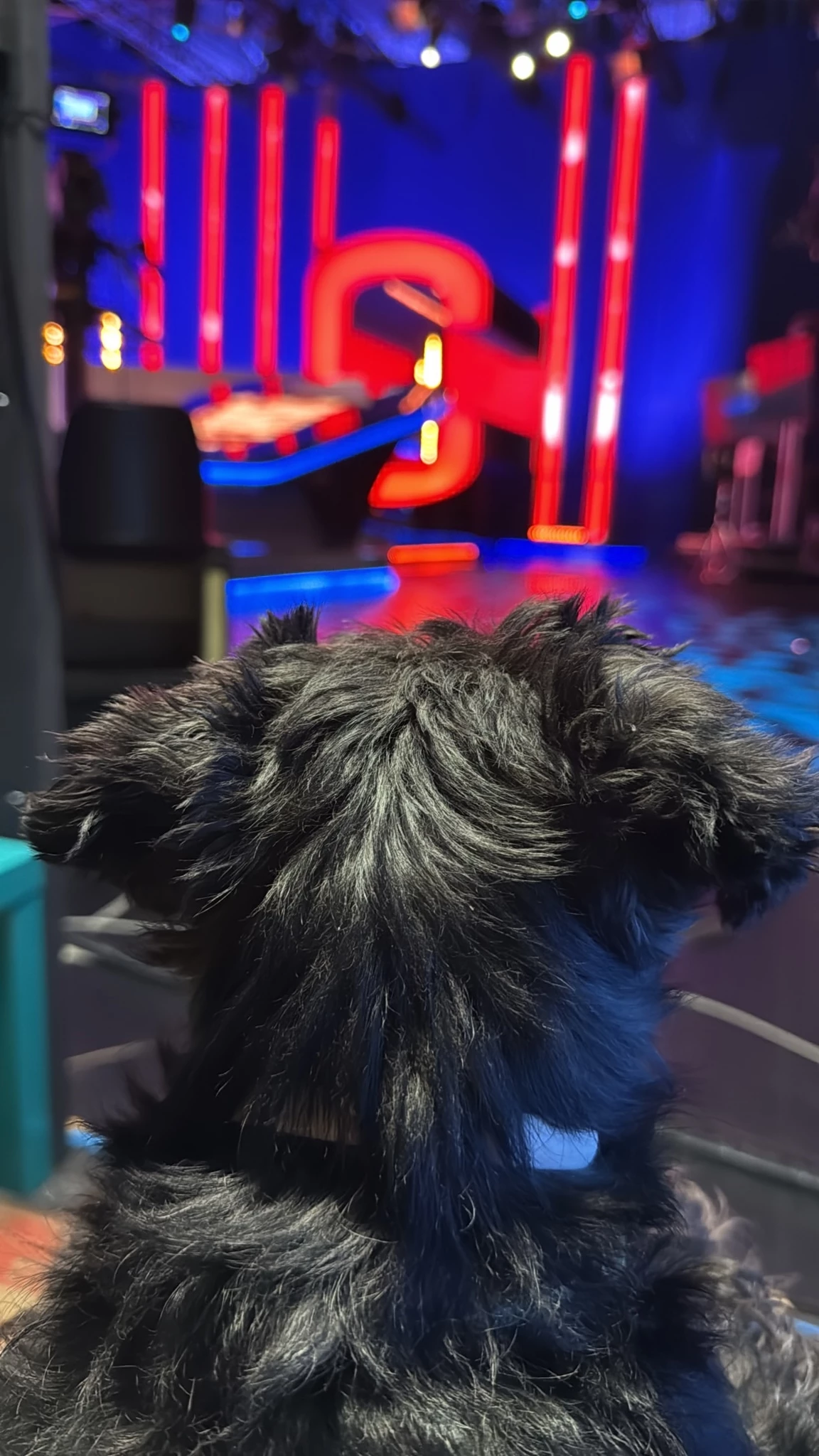 Μαρία Μπεκατώρου