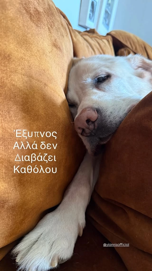 Η Σμαράγδα Καρύδη με τον σκύλο της