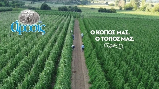 5 πράγματα που δεν ήξερες για τα όσπρια και την κλιματική αλλαγή