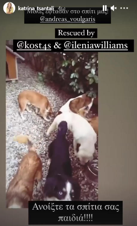 Κατρίνα Τσάνταλη