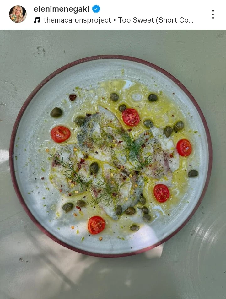 Ελένη Μενεγάκη onar