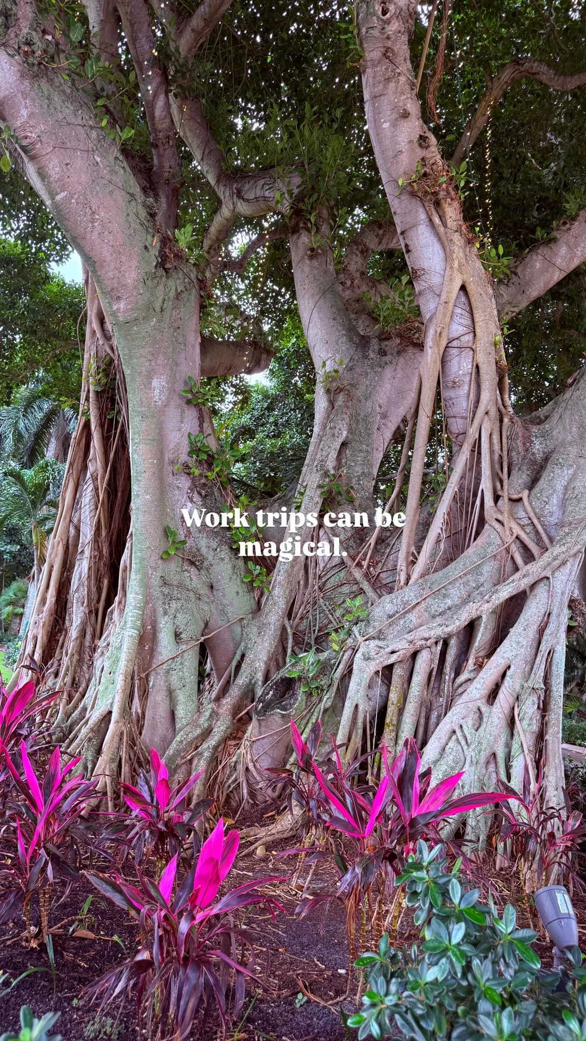 Σοφία Καρβέλα | Το πιο απρόσμενο μέρος που επέλεξε για την πρωινή προπόνησή της