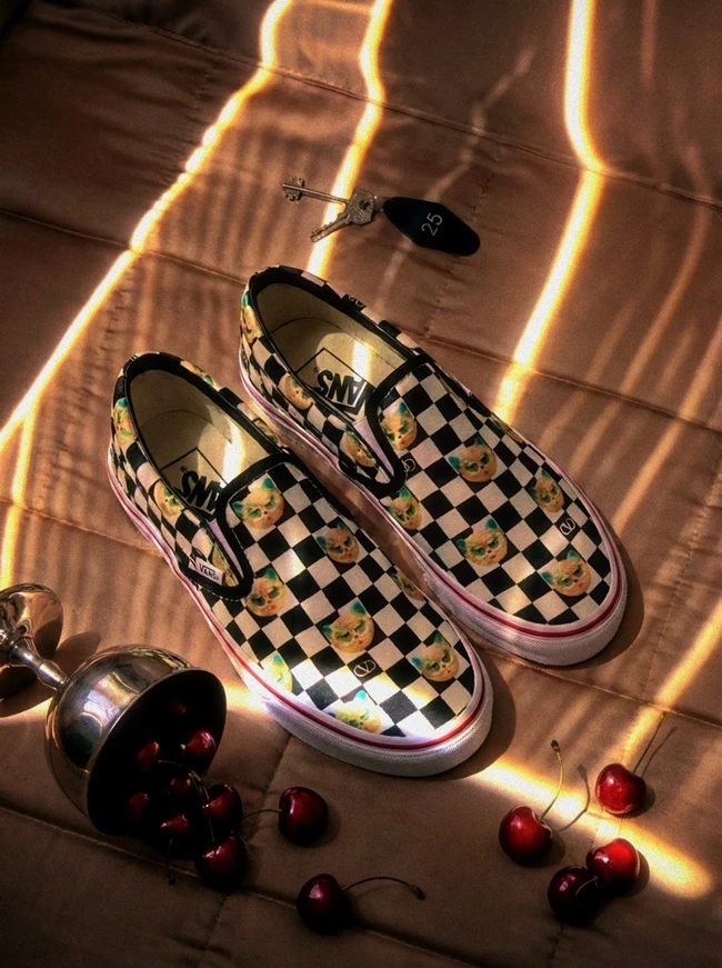 Valentino Garavani and Vans