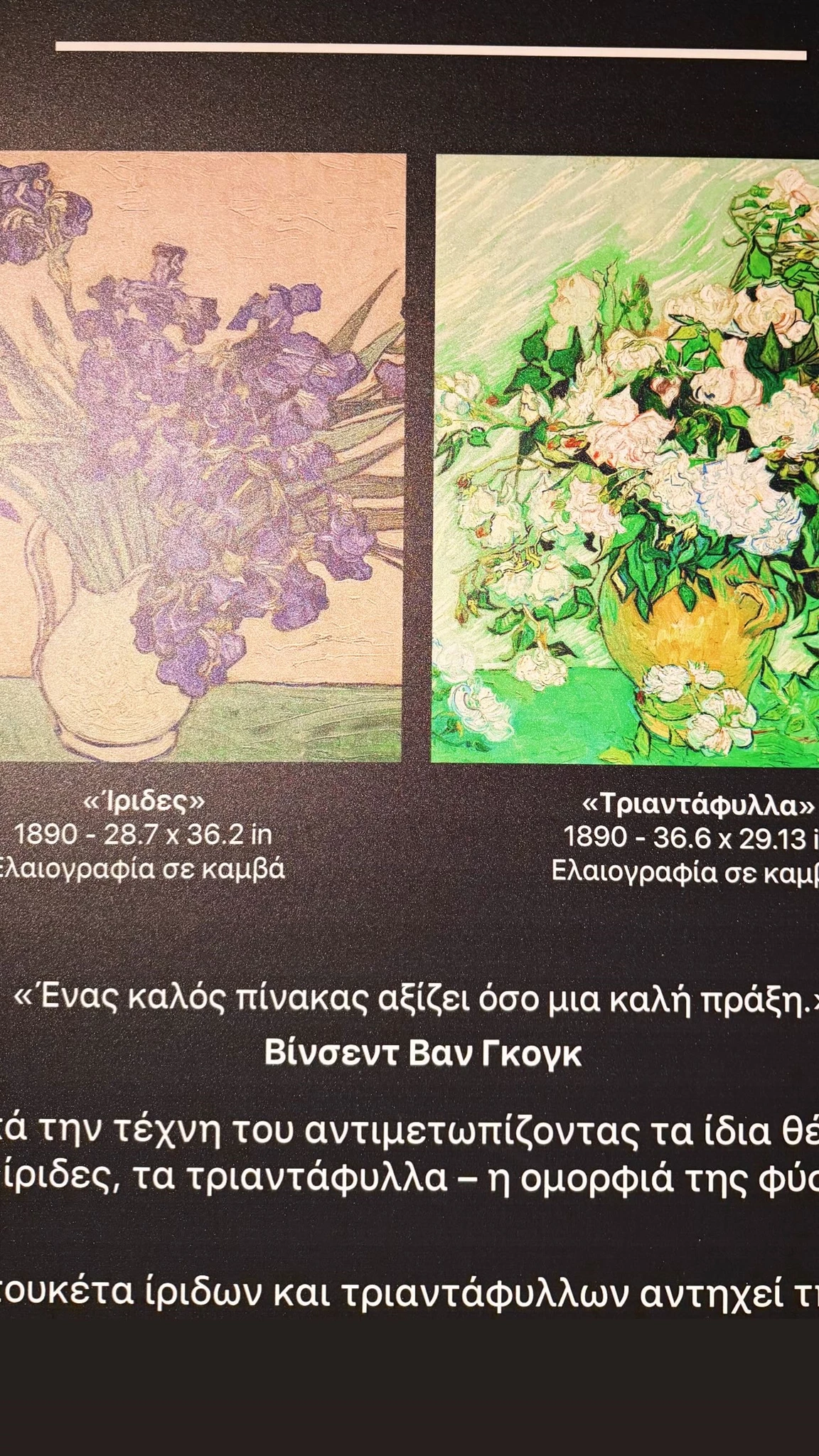 Η Κατερίνα Καραβάτου στην έκθεση του Van Gogh