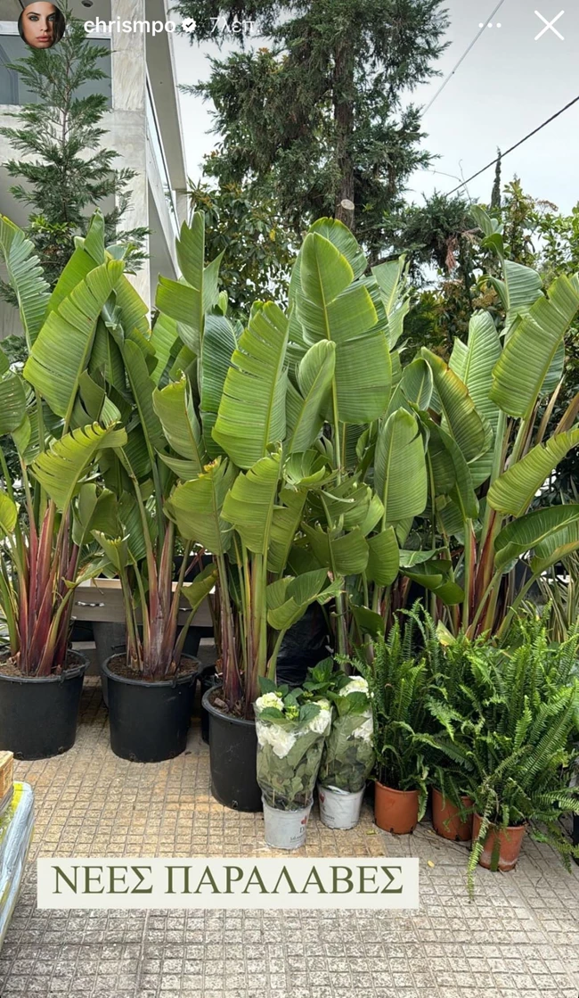 Χριστίνα Μπόμπα | Οι νέες παραλαβές για τον κήπο του σπιτιού της - Μοιάζει με πράσινη όαση