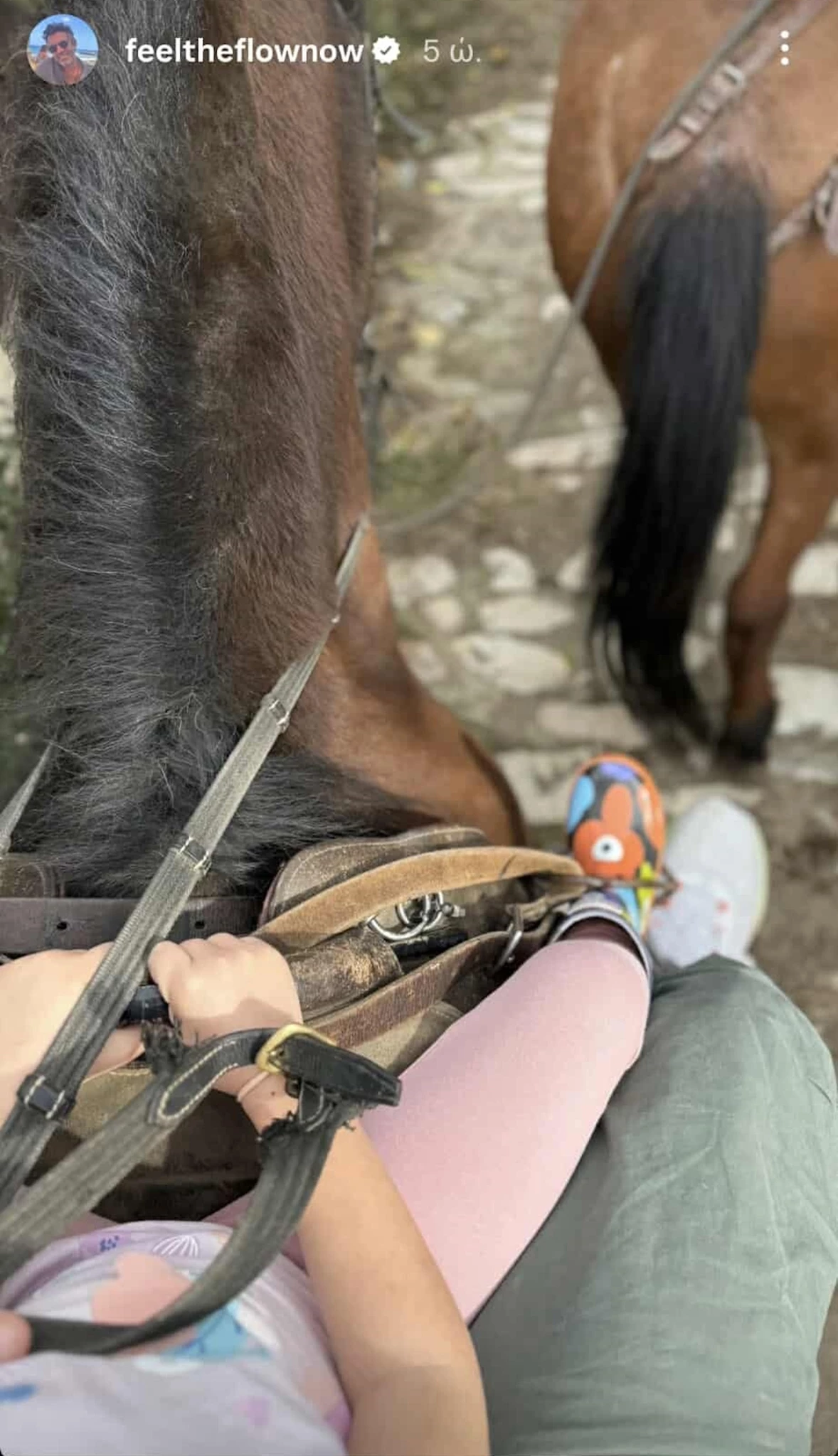 Φίλιππος Μιχόπουλος & Κωνσταντίνα Ευρυπίδου | Για ιππασία με τα παιδιά τους στην εξοχή
