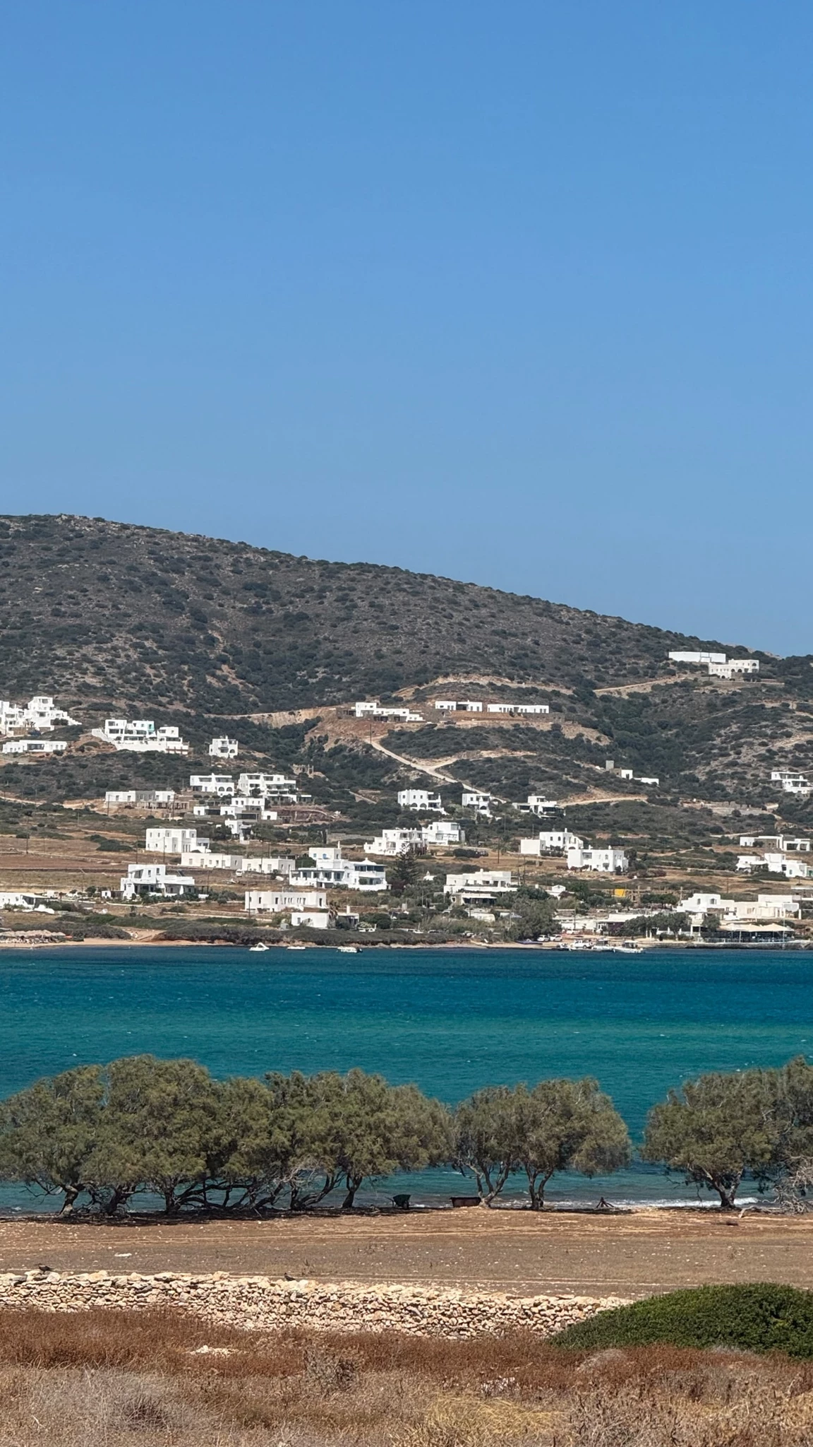 Μαρία Βοσκοπούλου