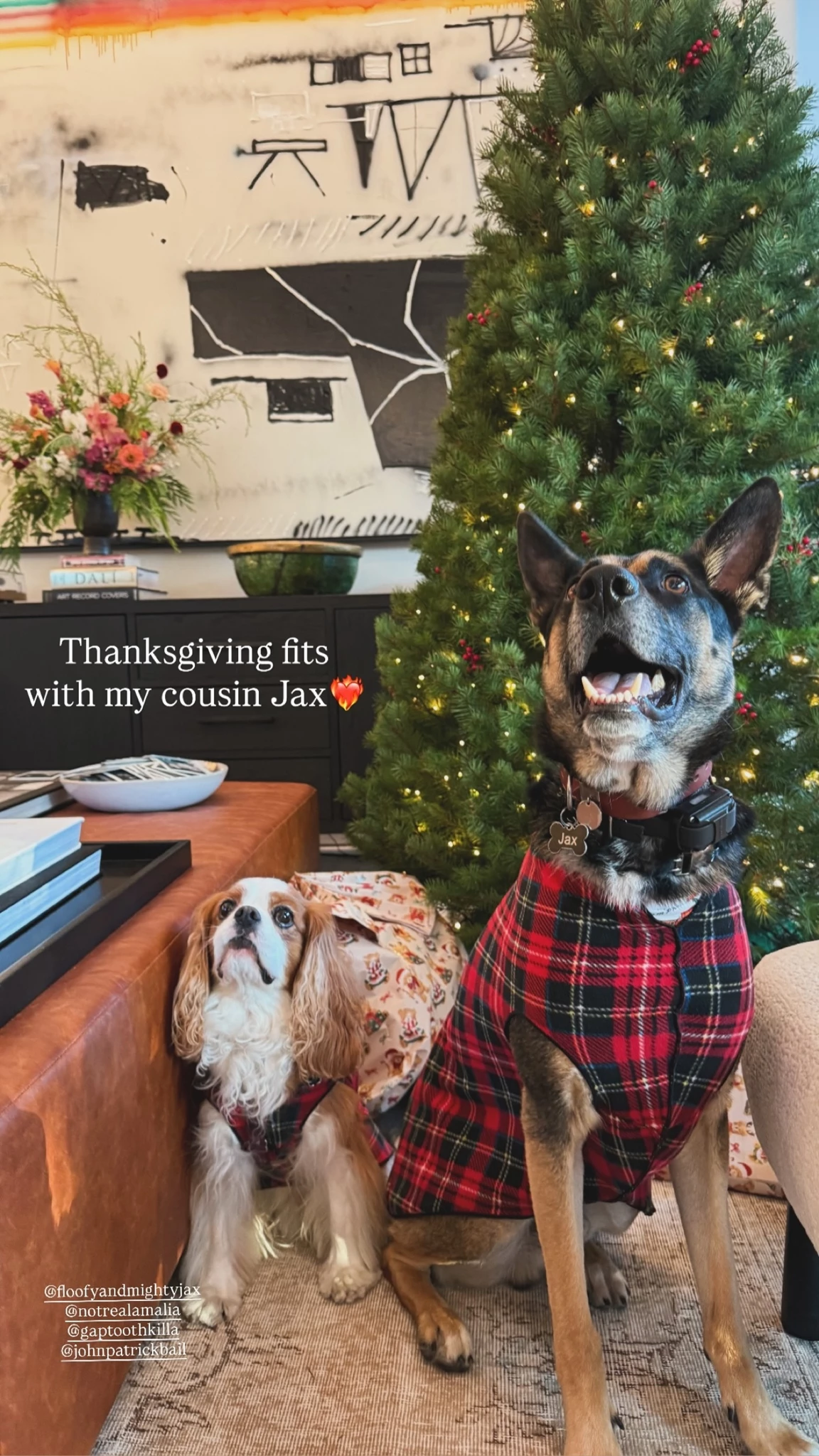 Αμαλία Κωστοπούλου