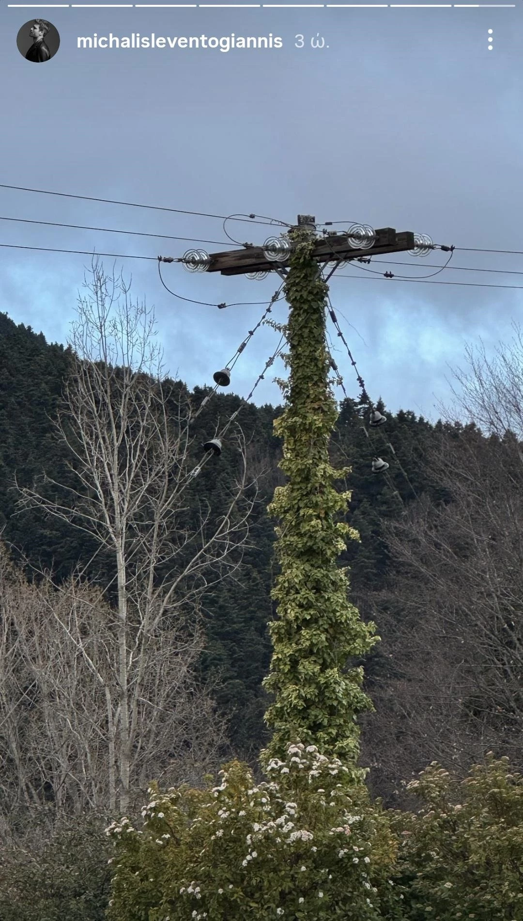 Η απόδραση του Μιχάλη Λεβεντογιάννη στην Παύλιανη