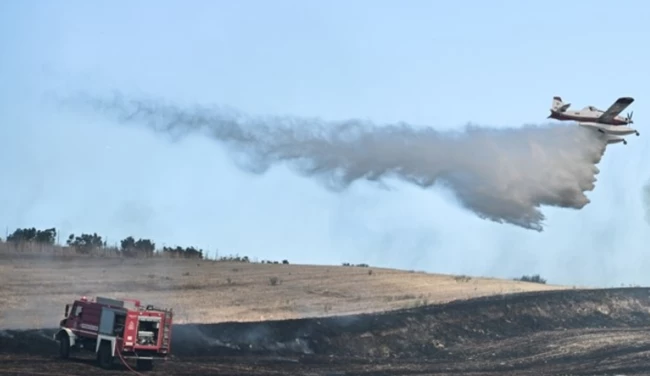 Η σκιαγράφηση του προφίλ των ατόμων που συνελήφθησαν για εμπρησμούς