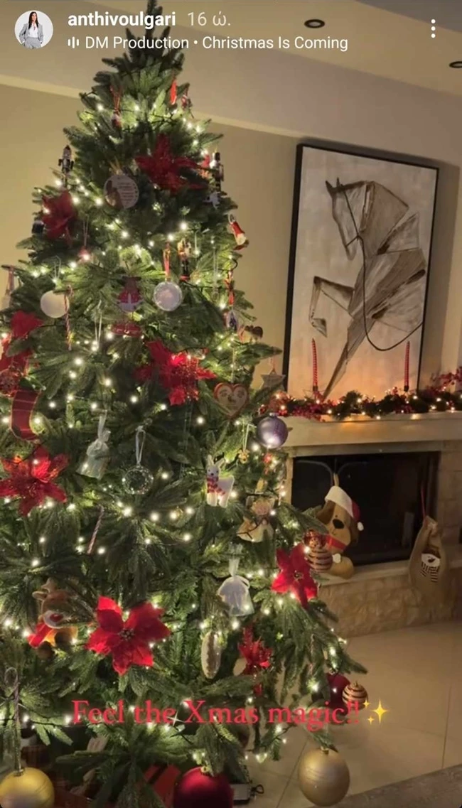 Η Ανθή Βούλγαρη για το μωρό της | Η αποκάλυψη που έκανε για τον νονό