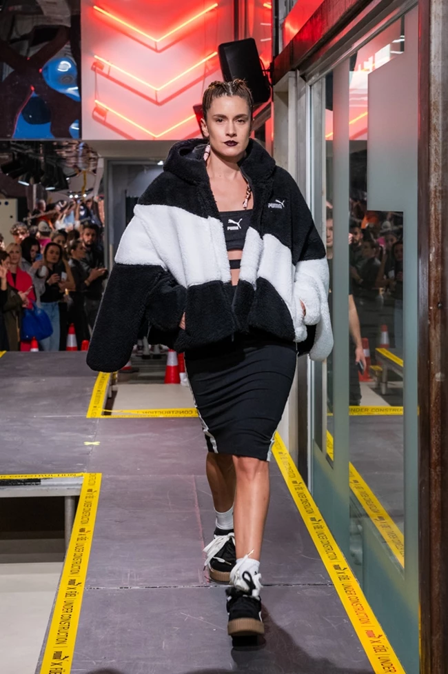 Fuel Puma