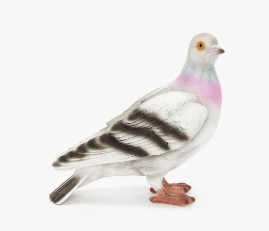 Pigeon clutch  JW Anderson