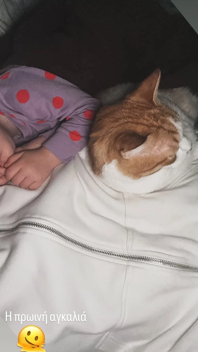 Μαίρη Συνατσάκη | "Όμορφος χαμός" στο σπίτι της από την Ολίβια - εικόνα 2