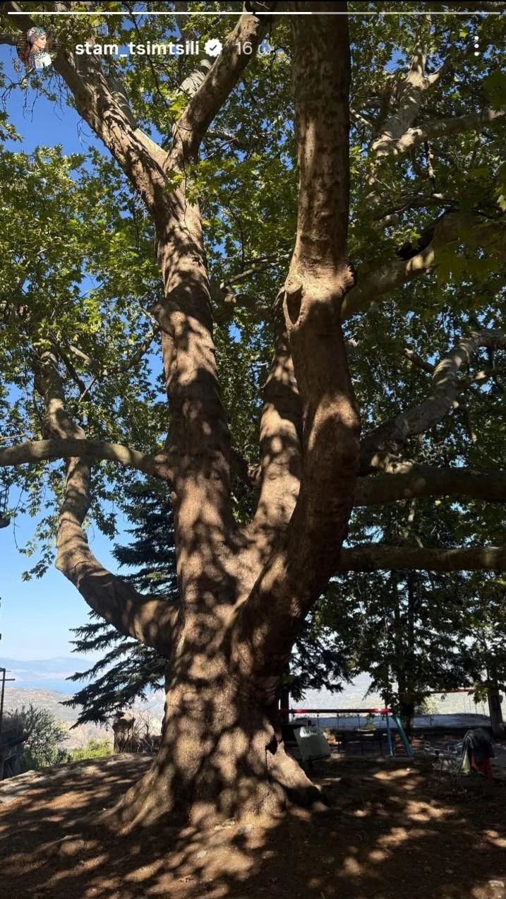 Σταματίνα Τσιμτσιλή Κορινθία