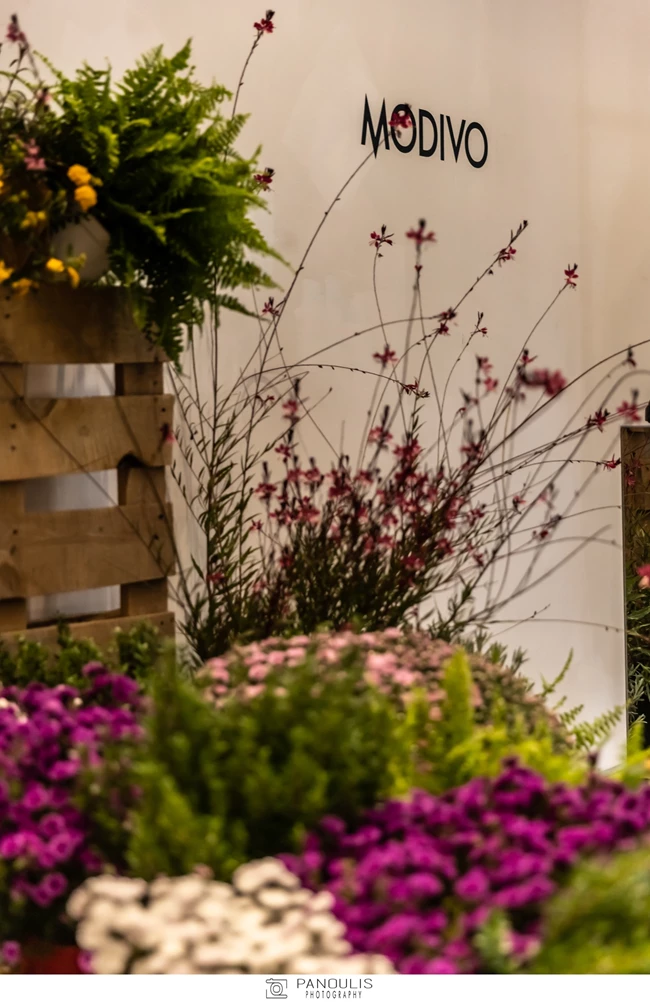 Η MODIVO παρουσίασε στο πιο fashion fοrward event τη νέα της συλλογή Α/W '22-23