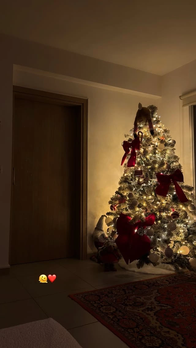 Το στολισμένο σαλόνι της Εβελίνας Σκίτσκο