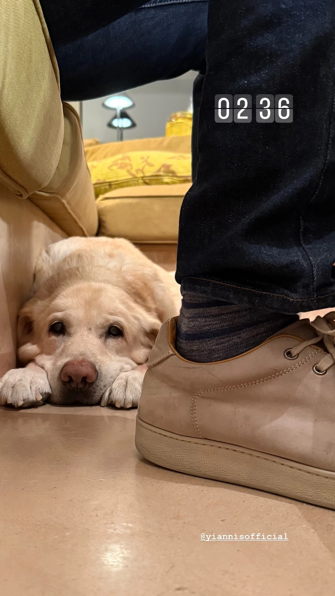 Σμαράγδα Καρύδη