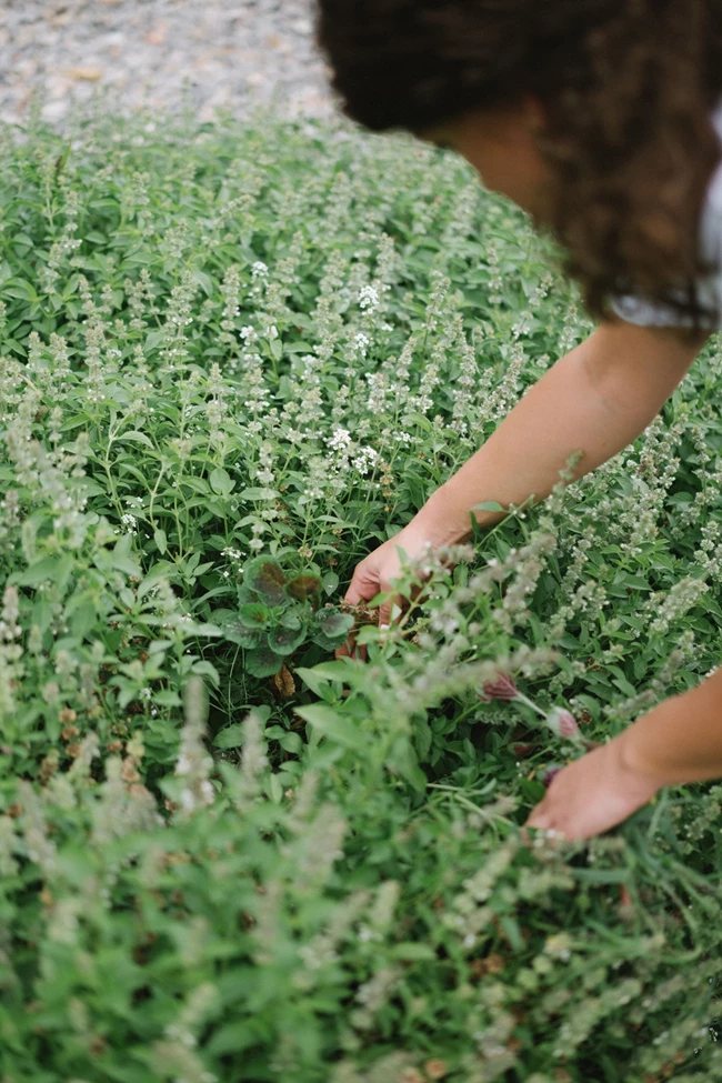 soil