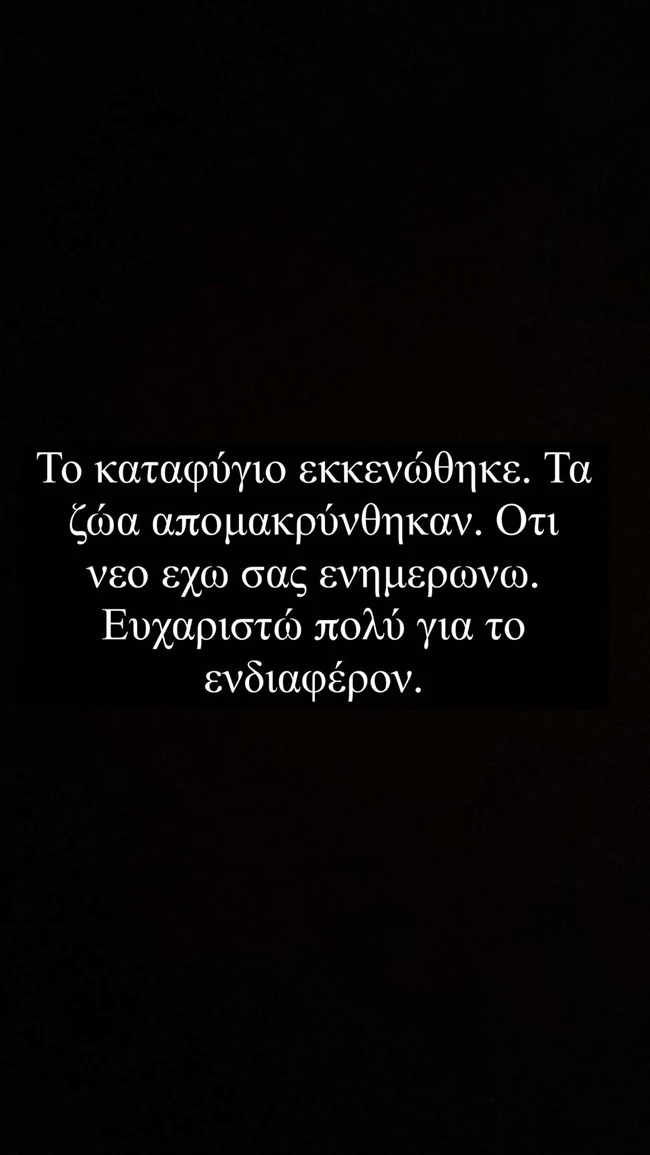 Κατρίνα Τσάνταλη | Εκκενώθηκε το καταφύγιο ζώων της