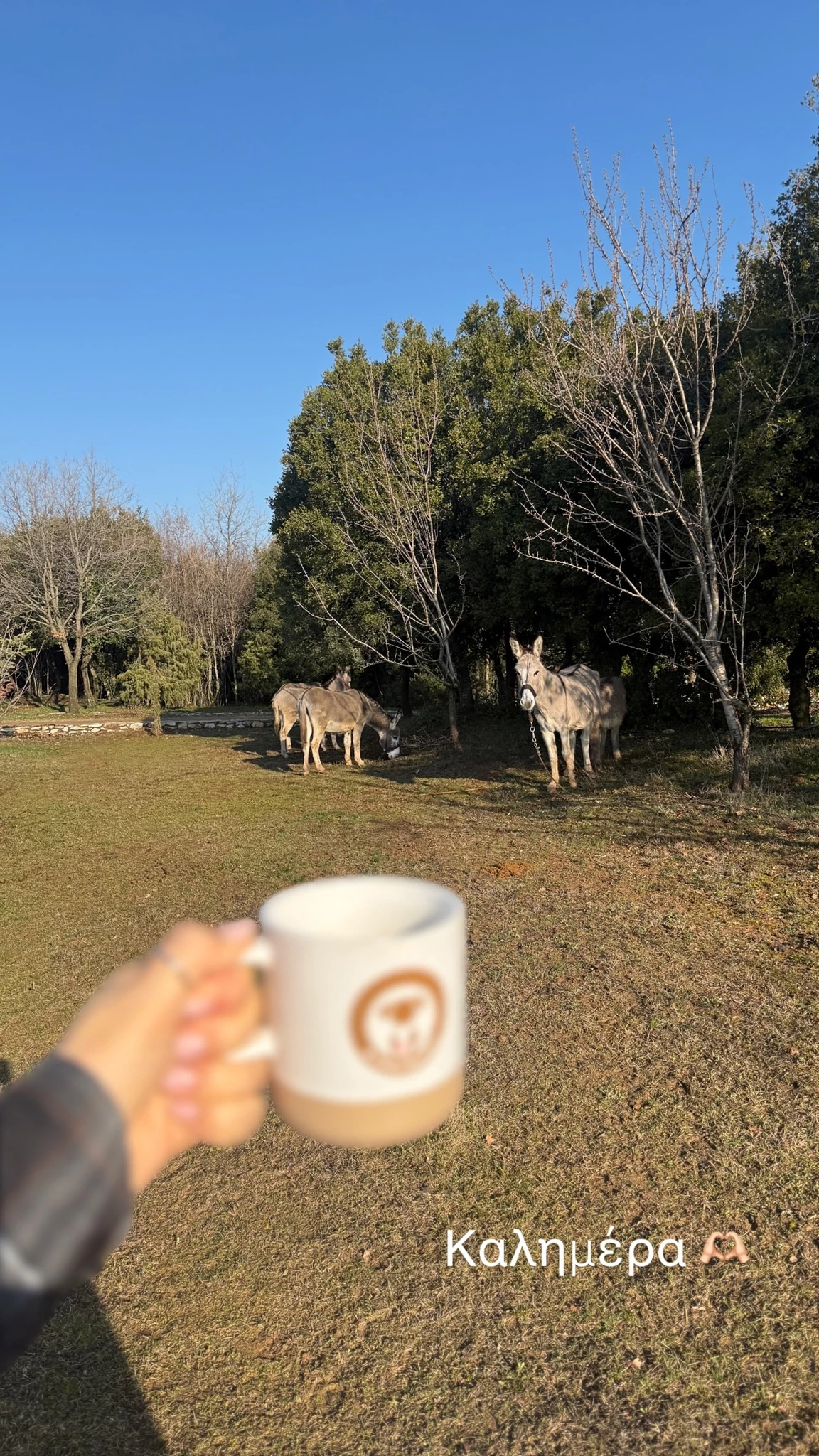 Επιστροφή στη φύση για τη Χριστίνα Κοντοβά | Στο δάσος με την κόρη της, Έιντα