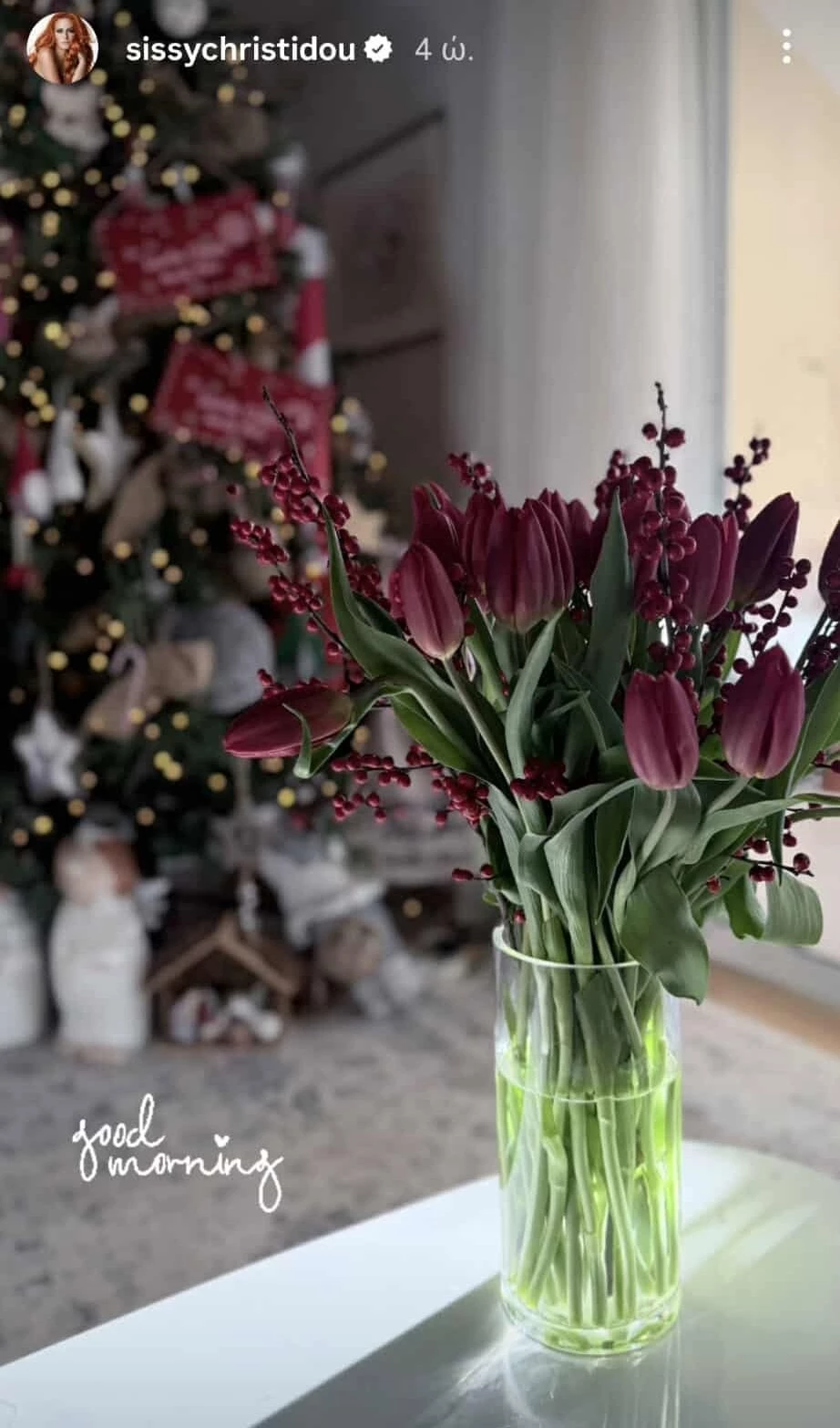 Σίσσυ Χρηστίδου | Η προσθήκη στο στολισμένο σαλόνι του σπιτιού που της έφτιαξε τη διάθεση