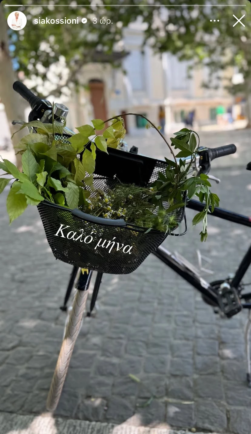 κοσιωνη