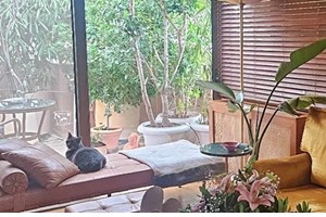 Η Νατάσα Μποφίλιου μαζί με τον σύζυγό της στο Άμστερνταμ | Το φιλί στο Instagram - εικόνα 3