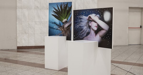 The Artpit Collection by Dove | Επισκεφθήκαμε την έκθεση φωτογραφίας, που γιορτάζει την ανθρώπινη ομορφιά της περιοχής της μασχάλης
