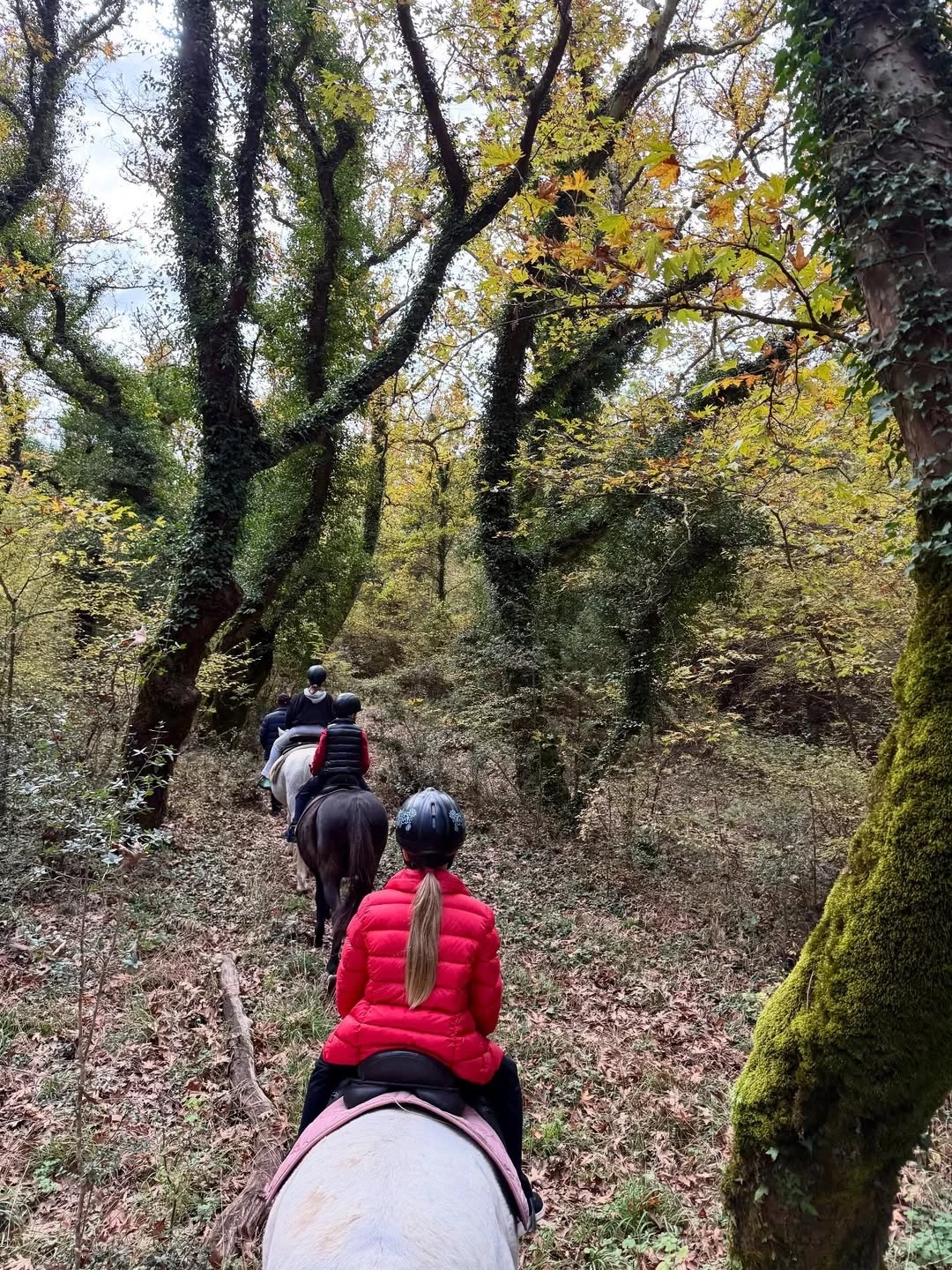 H Ελένη Μενεγάκη στην Ήπειρο