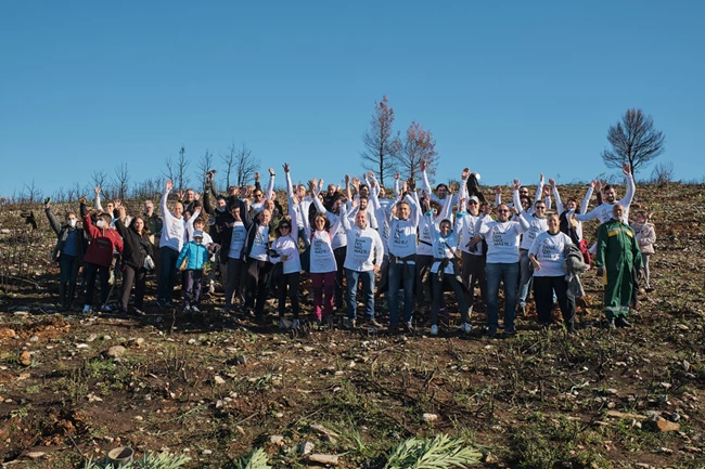 Φωτογραφία 2_ Οι εργαζόμενοι της Παπαστράτος φύτευσαν τα 300 πρώτα δέντρα την Παγκόσμια Ημέρα Εθελοντισμού.jpg