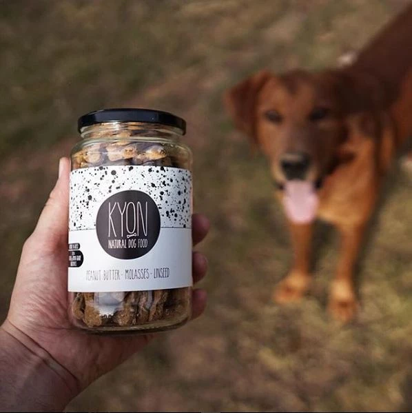 #lifeisbetterwithpets: 5 ιδέες για να περάσεις καλά με τον σκύλο σου - εικόνα 3