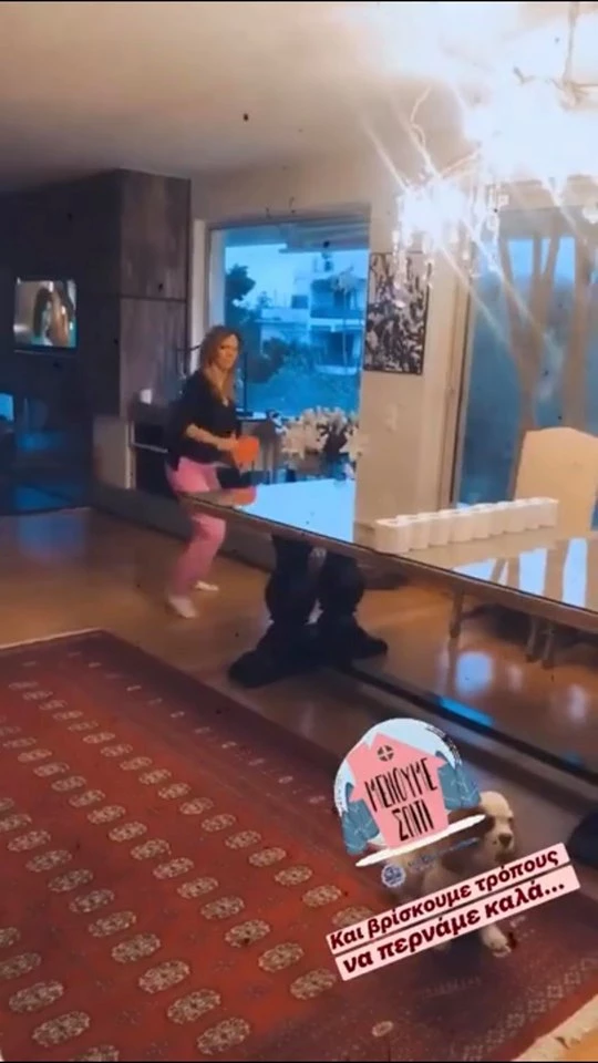 Έλλη Κοκκίνου | #Μένει_σπίτι και μας δείχνει (νέα) πλάνα από την κατοικία της στα Νότια Προάστια - εικόνα 2