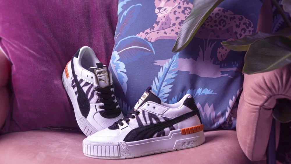 puma wildcats
