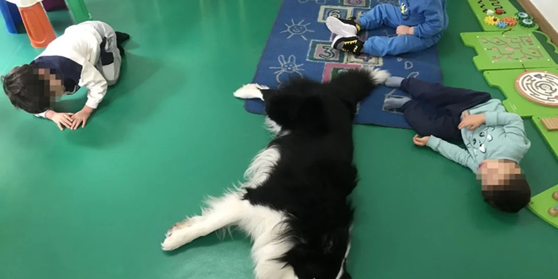 Η δύναμη του Κόι - Πώς ένας σκύλος λειτουργεί ως συνθεραπευτής στο πλαίσιο της ζωοθεραπείας