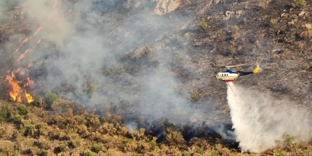 Προειδοποίηση Λέκκα: Δεν έχουμε την πολυτέλεια να χάσουμε ούτε ένα δέντρο στην Αττική, έχει χαθεί το 70% του δασικού ιστού
