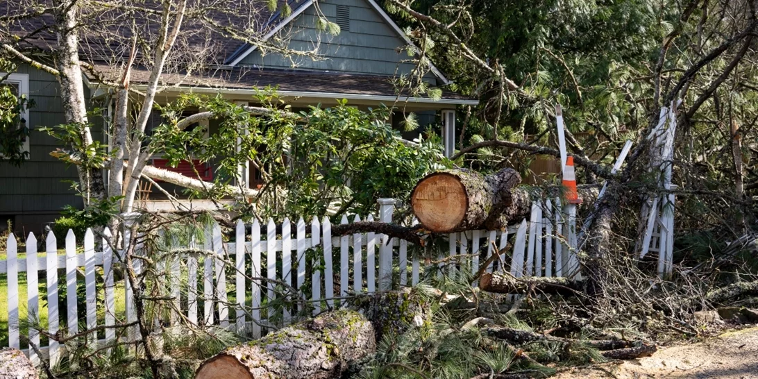 Ηράκλειο | Εικόνες καταστροφής από την κακοκαιρία - Στην περιοχή κυβερνητικό κλιμάκιο [Εικόνες - Βίντεο]