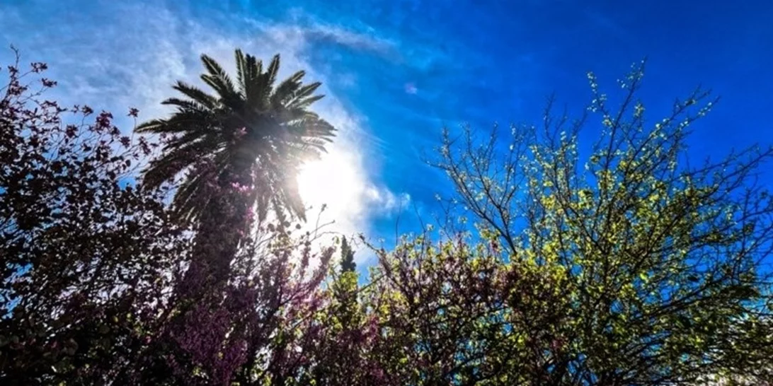 Καιρός | Λιακάδα και υψηλές για την εποχή θερμοκρασίες - Τους 28 βαθμούς θα αγγίξει ο υδράργυρος