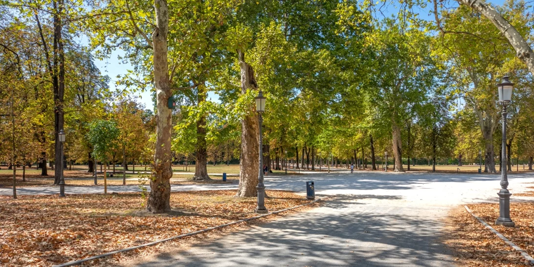 Γέμισαν κόσμο οι παραλίες και τα πάρκα της Αττικής - Πρώτη μέρα διαδημοτικών μετακινήσεων με σύμμαχο τον καλό καιρό [Εικόνες]