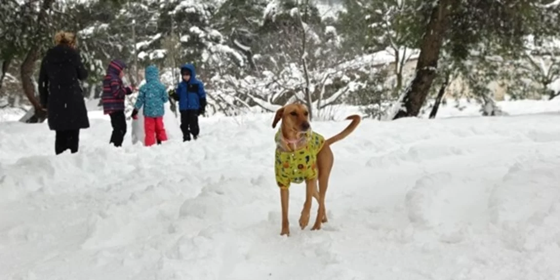 Κακοκαιρία Avgi | Υποχωρούν τα έντονα καιρικά φαινόμενα - Σε ποιες περιοχές επιμένουν τα χιόνια και το τσουχτερό κρύο