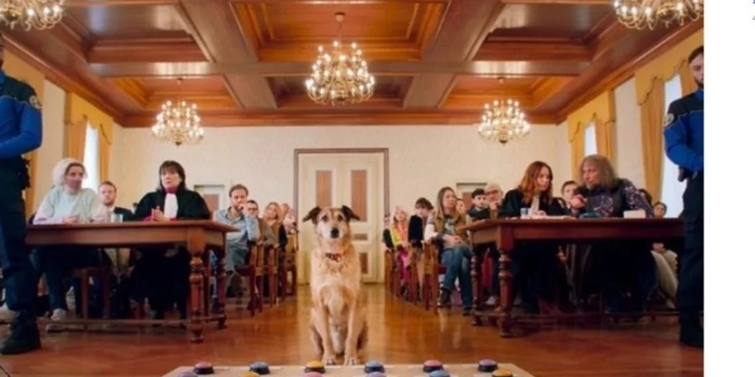 Palm Dog για τον Κοντί, τον τετράποδο πρωταγωνιστή της ταινίας "Le procès du chien"