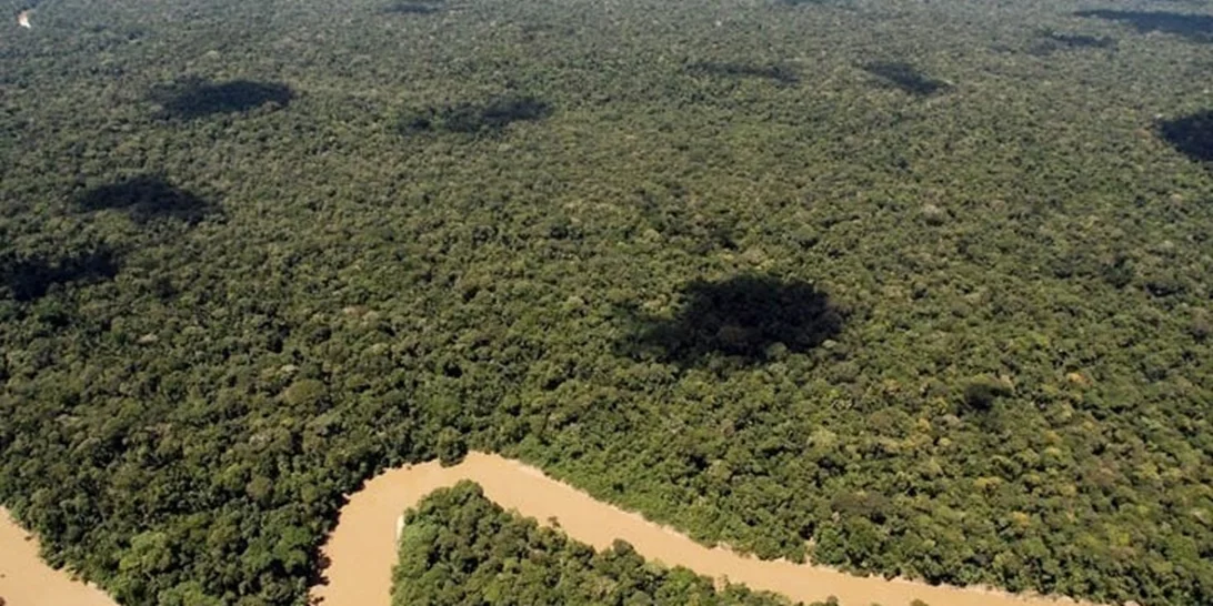 Η καταστροφή των τροπικών δασών έφτασε πέρυσι σε επίπεδο ρεκόρ