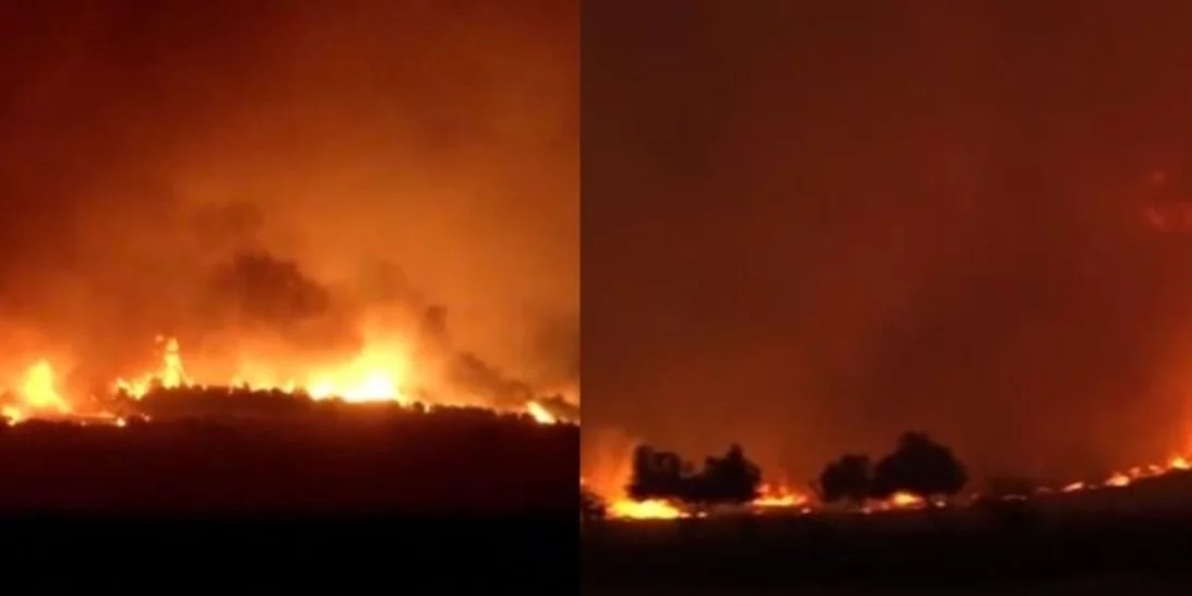 Φωτιά στην Αλεξανδρούπολη | Ολονύχτια μάχη με τις φλόγες και τα μποφόρ – Ενισχύσεις από Ήπειρο και Θεσσαλία