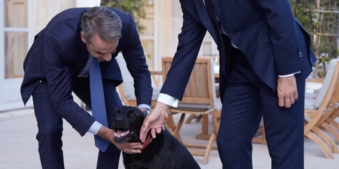 Ψάχνοντας τον Nemo στο Ελιζέ |  Όταν ο Μητσοτάκης συνάντησε τον σκύλο του Μαcron [εικόνες - βίντεο]