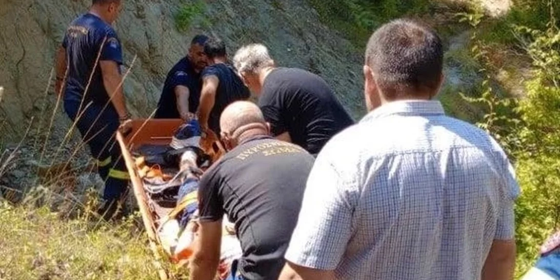 "Τρέξε να τον σώσεις, τον έχει φάει αρκούδα": Η ανατριχιαστική περιγραφή αυτόπτη μάρτυρα για την επίθεση σε 67χρονο