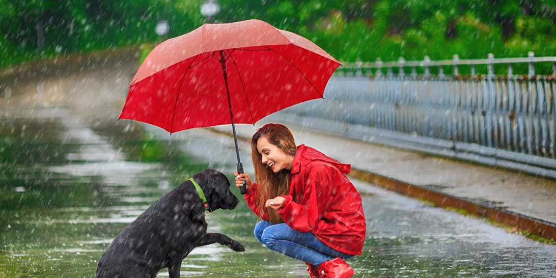 Τα ζώδια σήμερα 25/4 | Ημερήσιες προβλέψεις για κάθε ζώδιο