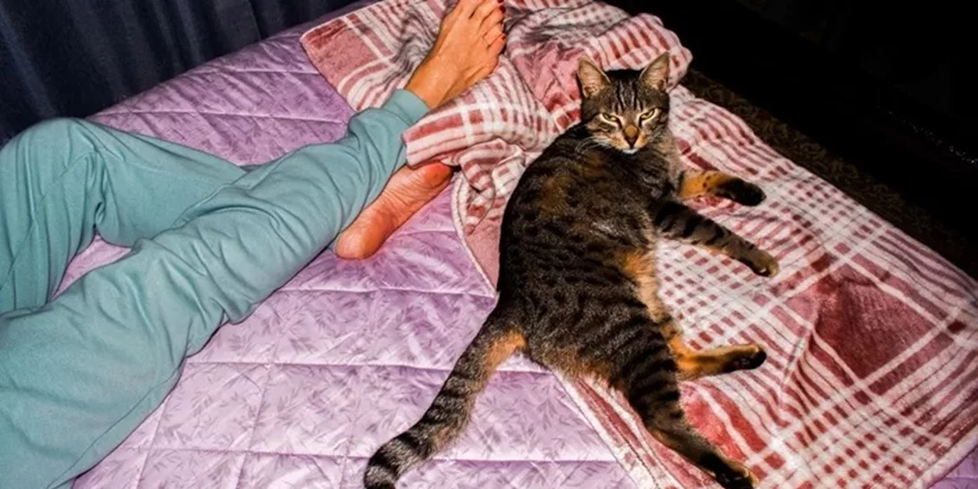 "Soft Walls" | Ένα πολυεπίπεδο πρότζεκτ αφιερωμένο στη φωτογραφία