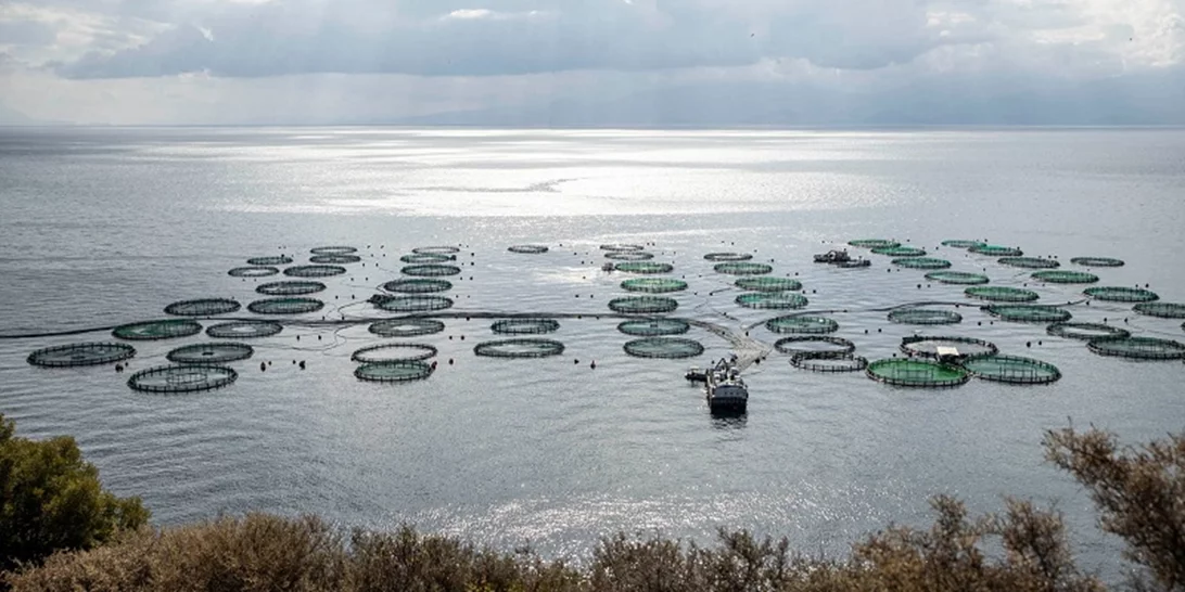 Η ΕΛΟΠΥ στηρίζει για 2η συνεχή χρονιά το Χαμόγελο του Παιδιού