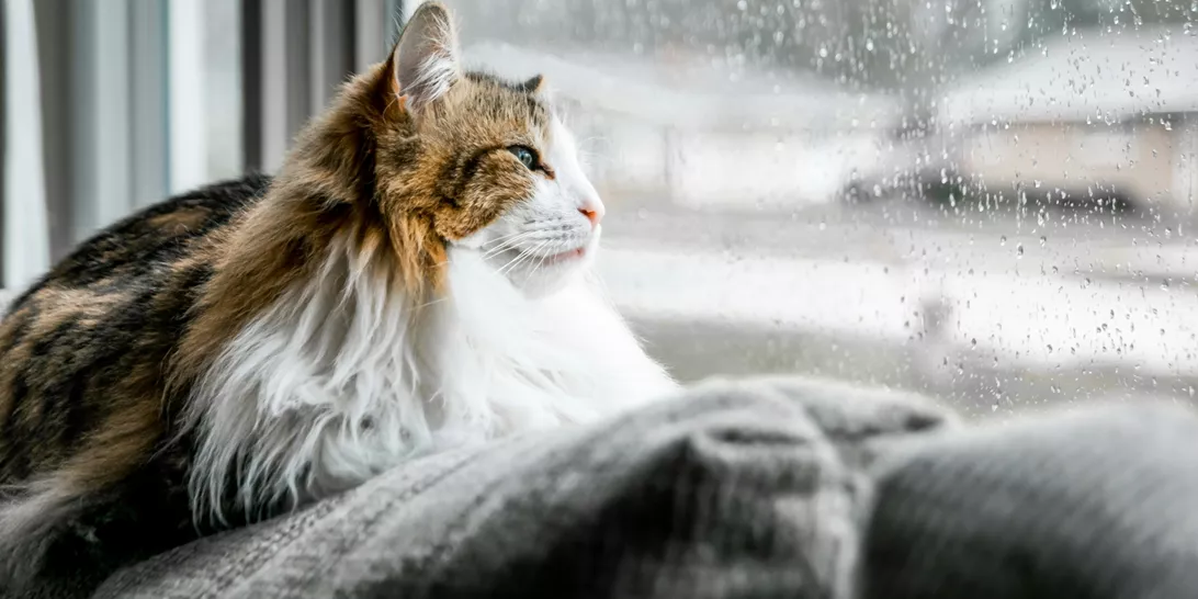 Τα ζώδια σήμερα 22/01 | Ημερήσιες προβλέψεις για κάθε ζώδιo